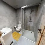 Apartment Podkova *
